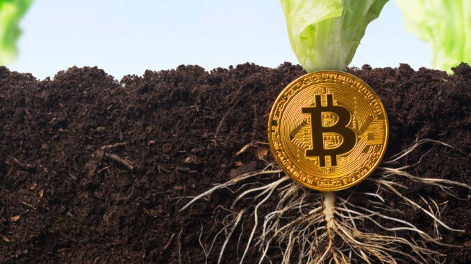 KPMG Bitcoin Report Marks 'A Milestone The Bitcoin Ecosystem Should KPMG Bitcoin Report Marks 'A Milestone The Bitcoin Ecosystem Should Celebrate': Analyst