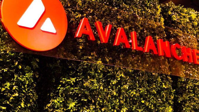 LayerZero, Stargate Propelled 2Q Growth in Avalanche Blockchain: Nansen LayerZero, Stargate Propelled 2Q Growth in Avalanche Blockchain: Nansen