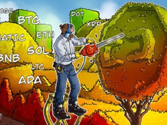 Price analysis 8/4: BTC, ETH, BNB, XRP, DOGE, ADA, SOL, MATIC, LTC, DOT