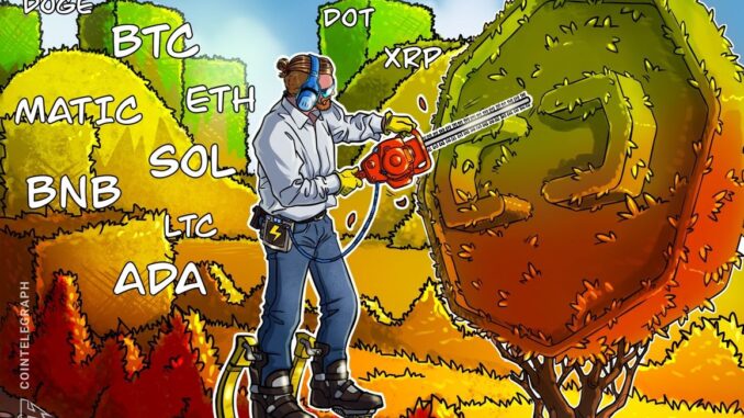 Price analysis 8/4: BTC, ETH, BNB, XRP, DOGE, ADA, SOL, Price analysis 8/4: BTC, ETH, BNB, XRP, DOGE, ADA, SOL, MATIC, LTC, DOT