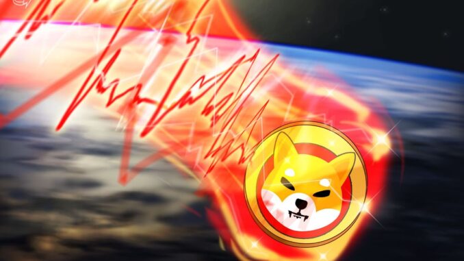 SHIB, BONE, LEASH tokens dip amid rumors of $2.5M Shibarium SHIB, BONE, LEASH tokens dip amid rumors of $2.5M Shibarium gaffe