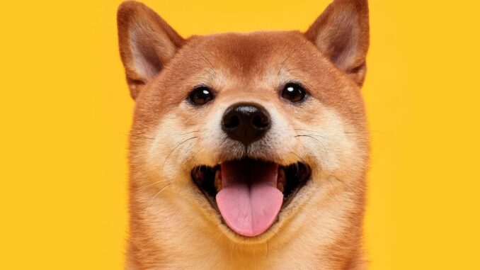 SHIB Devs Reopen Ethereum Bridge to Layer-2 Network Shibarium SHIB Devs Reopen Ethereum Bridge to Layer-2 Network Shibarium