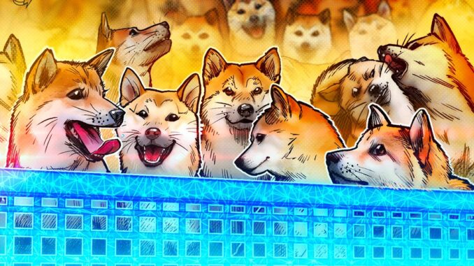Shiba Inu hints at making Shibarium public soon