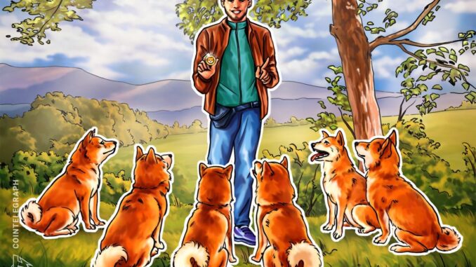 Shiba Inu's Shibarium Network resumes block production after brief pause