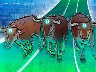 Bitcoin all-time high in 2025? BTC price idea reveals 'bull run launch'