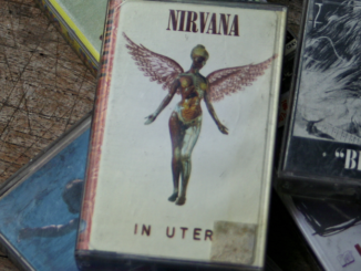Nirvana Bassist Says AI Could Help Complete Old Demo Songs
