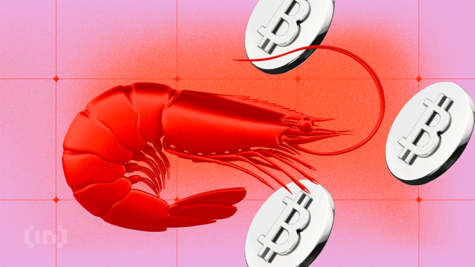 The Impact of Crypto Education Shrimps Accumulate Bitcoin (BTC) and Get Smarter: Does Crypto Education Work?