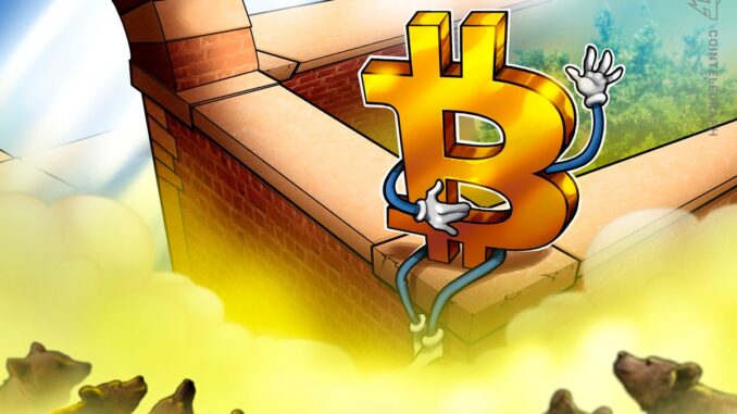 BTC shines in depths of crypto bear market BTC shines in depths of crypto bear market