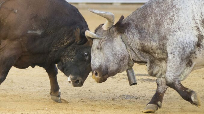 Bitcoin (BTC) Prices at $29.3K as Bulls Charge Ahead With Bitcoin (BTC) Prices at $29.3K as Bulls Charge Ahead With ETF Optimism