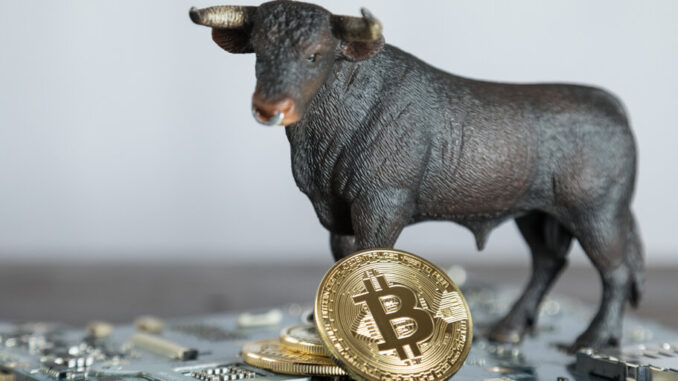 Bitcoin Hits $35,000, Reaching 16-Month High Amid ETF Hype Bitcoin Hits $35,000, Reaching 16-Month High Amid ETF Hype
