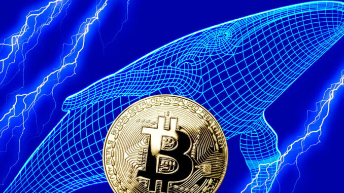 Bitcoin Whales and Ethereum Whales Are Not the Same: Glassnode Bitcoin Whales and Ethereum Whales Are Not the Same: Glassnode