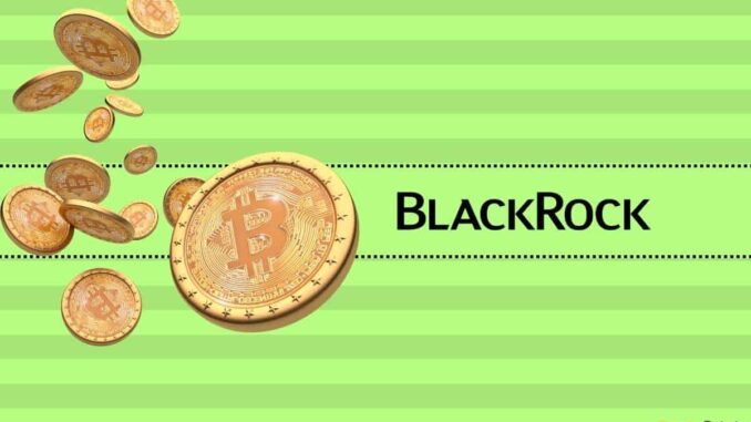 BlackRock CEO Larry Fink Shares Thoughts on a Bitcoin (BTC): BlackRock CEO Larry Fink Shares Thoughts on a Bitcoin (BTC): Bull Run Ahead?