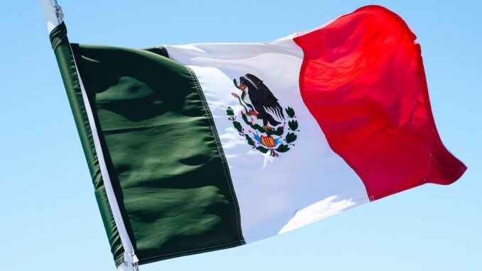 Blockchain Startup Etherfuse Rolls Out Tokenized Bonds in Mexico Targeting Blockchain Startup Etherfuse Rolls Out Tokenized Bonds in Mexico Targeting Retail Investors