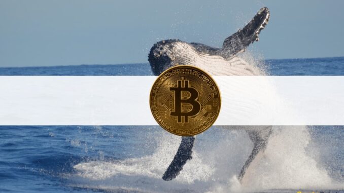 Fake BlackRock ETF News Caused This Crypto Whale To Lose Big