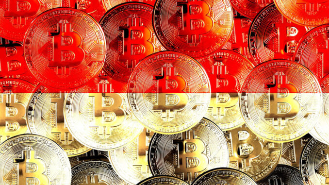Hacker Denis Katana Helped Russian Crime Boss Launder Money With Hacker Denis Katana Helped Russian Crime Boss Launder Money With Bitcoin, Says Spanish Judge