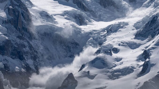 Hemp and Cannabis Certifications Minted on Avalanche (AVAX) Hemp and Cannabis Certifications Minted on Avalanche (AVAX)