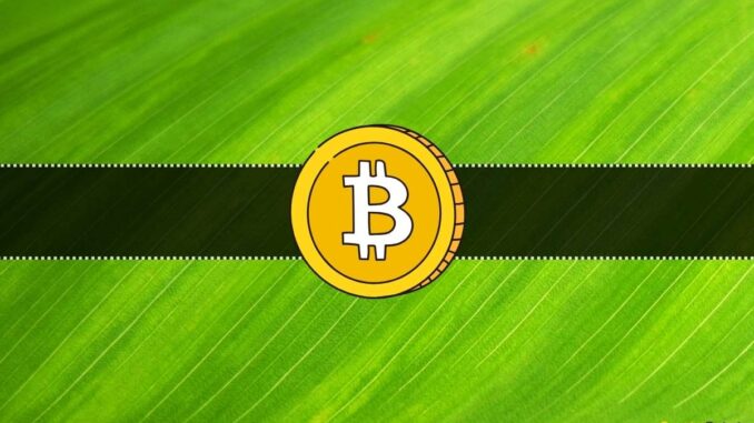 Pro-Ripple Lawyer Bought Bitcoin After This Pro-Ripple Lawyer Bought Bitcoin After This