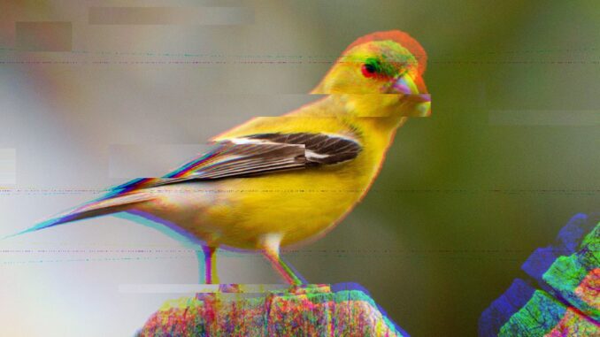 Real-World Asset Loan Worth $20M Sours on DeFi Platform Goldfinch, Real-World Asset Loan Worth $20M Sours on DeFi Platform Goldfinch, Bringing RWA Lending Under Scrutiny
