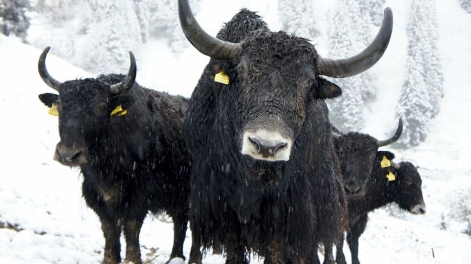 Waiting for the Next Crypto Bull Market? It’s Already Here. Waiting for the Next Crypto Bull Market? It’s Already Here.