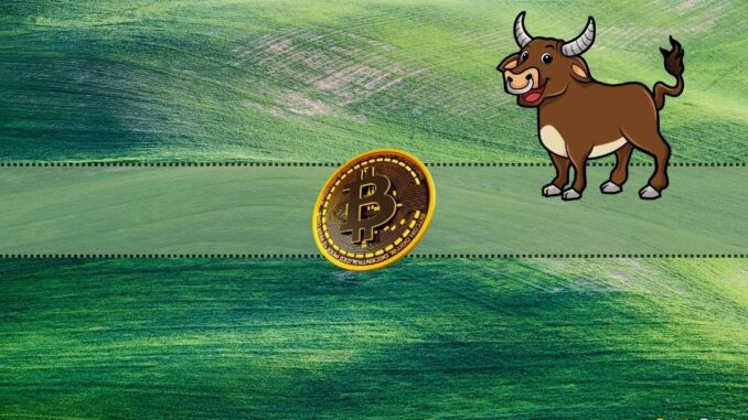 We Asked ChatGPT if There Will Be a Bitcoin Bull We Asked ChatGPT if There Will Be a Bitcoin Bull Market in 2024