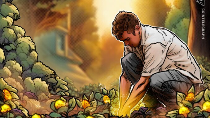 What is the Pareto 80/20 rule, and how does it What is the Pareto 80/20 rule, and how does it apply to cryptocurrencies?
