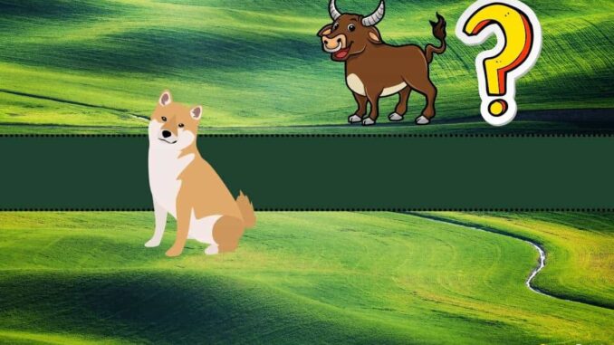 Which Altcoin is Worth Buying? Shiba Inu (SHIB) Proposed By Which Altcoin is Worth Buying? Shiba Inu (SHIB) Proposed By This Bitcoin Proponent