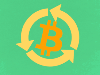 Some of the top BRC-20 tokens. (OrdSpace)
