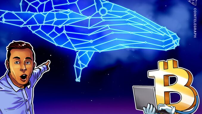 Bitcoin gets 'whale games' warning as BTC price eyes $40K into US data
