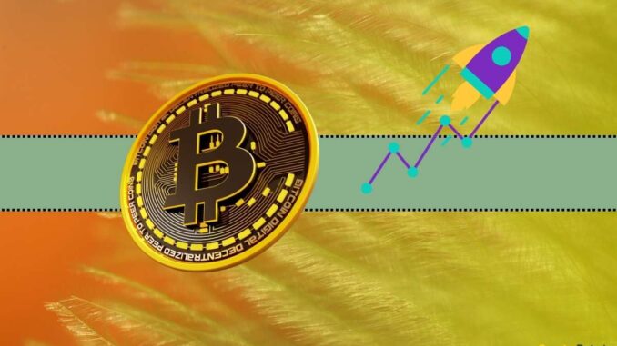 Bitcoin's Price is Pumping in the Past 24 Hours: Here's Bitcoin's Price is Pumping in the Past 24 Hours: Here's Why
