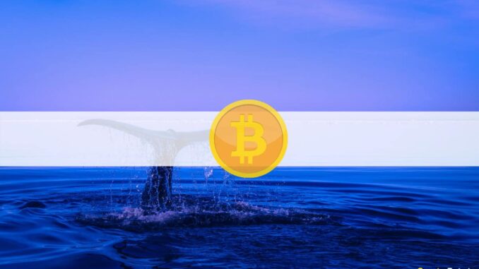 Curious $230M Worth of BTC Transaction From Dormant Whales: Implications Curious $230M Worth of BTC Transaction From Dormant Whales: Implications on Bitcoin's Price?