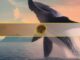 Dormant Bitcoin Whale Transfers $137 Million in BTC After 4 Years