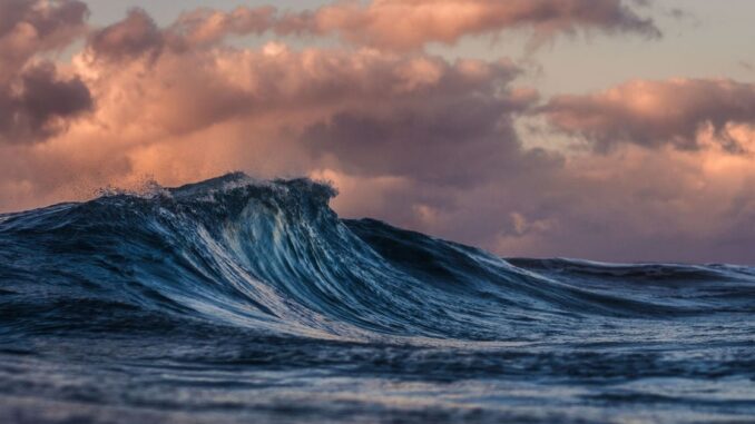 Navigating the Next Wave of Crypto Institutionalization: A Due Diligence Kunal Bhasin