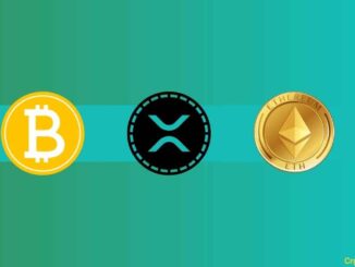 Pro-Ripple (XRP) Expert Reveals His Top 10 Cryptocurrencies to Hold in 2024