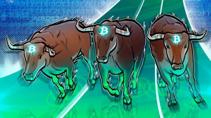 Will the next crypto bull run be dominated by L1s,