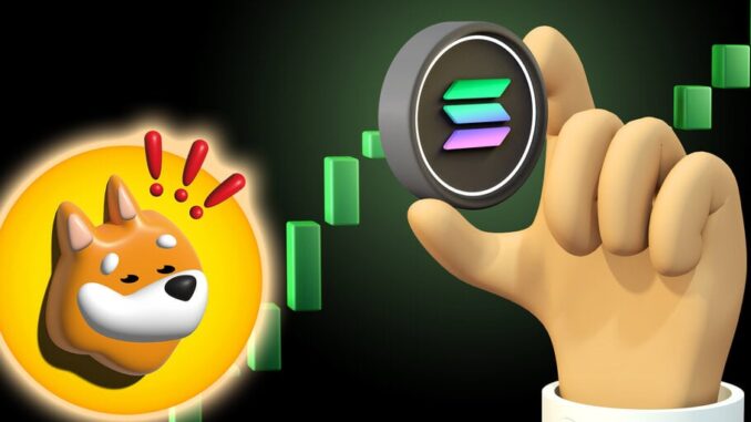 BONK Won't Stop: Solana Meme Coin Sets Another All-Time High BONK Won't Stop: Solana Meme Coin Sets Another All-Time High