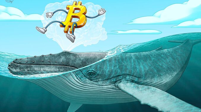 BTC price levels to watch as Bitcoin whales 'lure' market BTC price levels to watch as Bitcoin whales 'lure' market to $42K