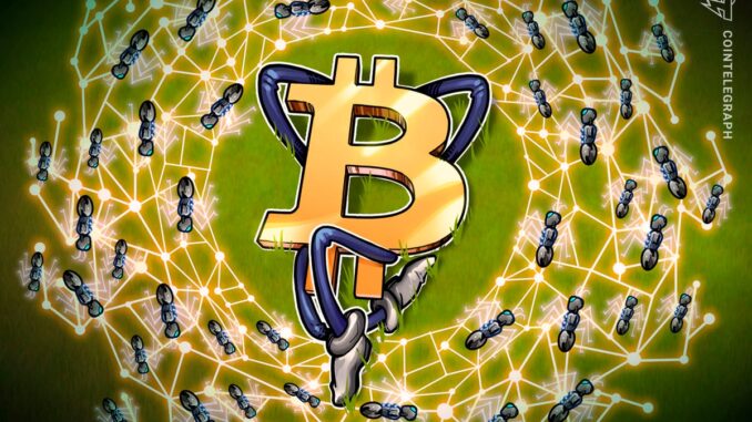 Bitcoin ecosystem reinvigorated by memecoins, new protocols Bitcoin ecosystem reinvigorated by memecoins, new protocols