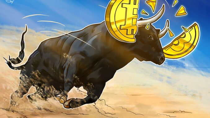 Bitcoin halving, BTC ETF hype driving price up into 2024