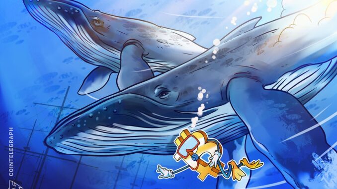 Bitcoin whales aim to reclaim $42K after BTC price dives Bitcoin whales aim to reclaim $42K after BTC price dives over 3%