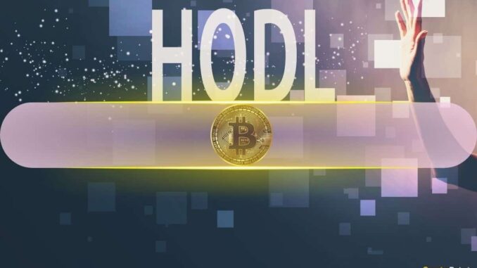 Bitcoiners Celebrate 10th Anniversary Of 'HODL' Meme