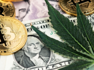 Flying High: Why Bitcoin Fans Are Buzzing About Hitting $42,069