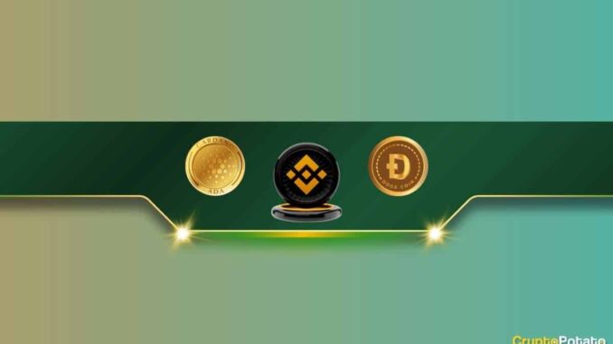 Important Binance Announcement That Concerns Cardano (ADA) and Dogecoin (DOGE) Traders