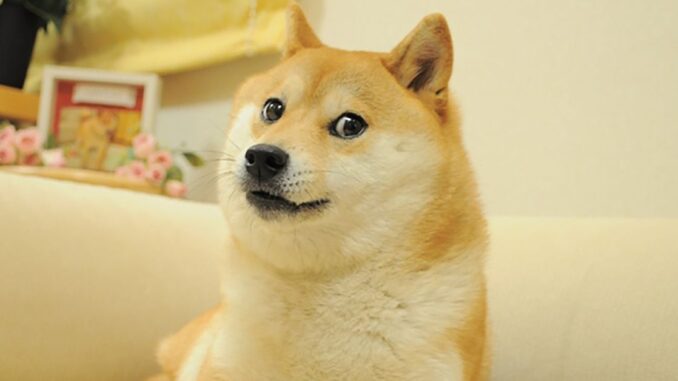 Polygon Labs Deprecates 'Polygon Edge,' Used to Build Dogechain, Which Bradley Keoun