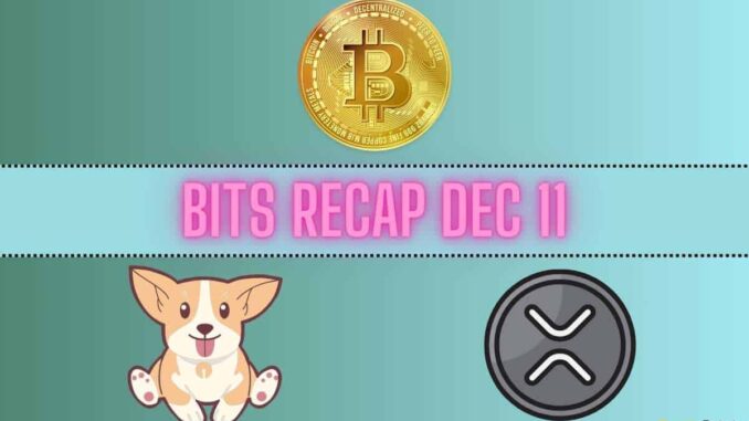 Ripple (XRP) Price Predictions, Bitcoin (BTC) Volatility, Bonk Inu (BONK) Ripple (XRP) Price Predictions, Bitcoin (BTC) Volatility, Bonk Inu (BONK) Rollercoaster: Bits Recap Dec 11