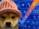 The Next BONK? Solana Meme Coin Dogwifhat Pumps 2,000X in a Month