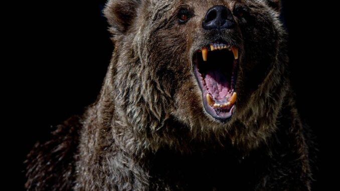 Bitcoin ETFs: The Bear Case Coindesk Logo