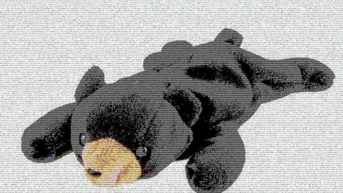 Coinbase vs. the SEC Debates the Difference Between Beanie Babies Coindesk Logo
