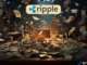 Ripple Labs CEO Brad Garlinghouse Discusses Share Repurchase Strategy