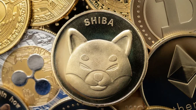 $SHIB Edges Closer to $DOGE; $GFOX Presale Nears $2 Million $SHIB Edges Closer to $DOGE as Market Reacts Positively to Token Burn; $GFOX Presale Nears $2 Million Mark