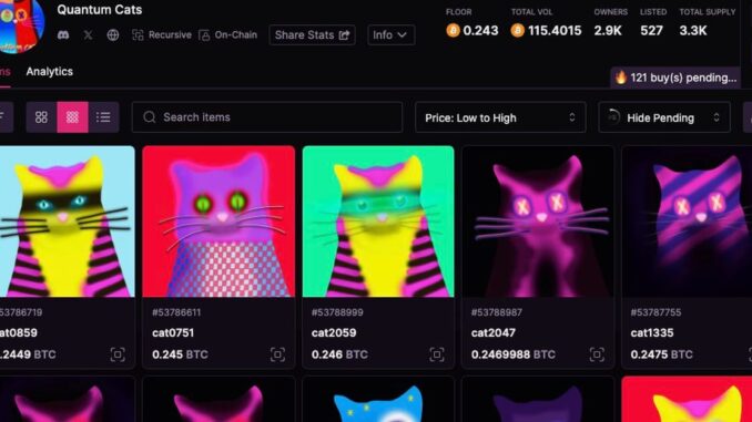 Bitcoin NFTs 'Quantum Cats' Fetching 0.24 BTC ($10K+) on Magic Elvis impersonators (Perry Knotts/Getty Images)
